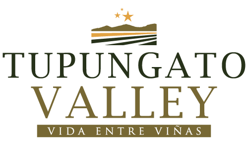 Tupungato Valley