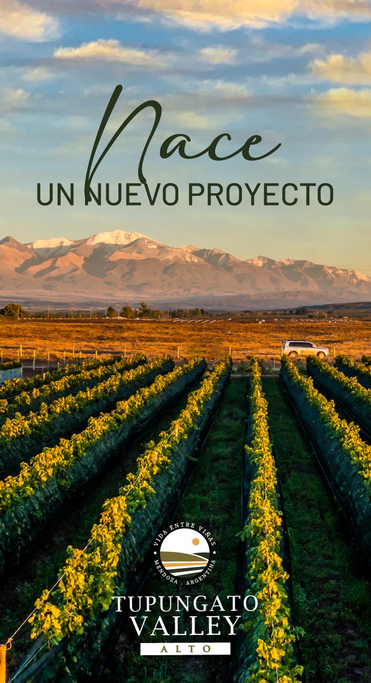 Tupungato Valley Alto