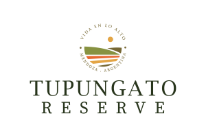 TUPUNGATO Reserve